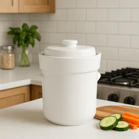 Fermentation Crock, 3L Ceramic - Image 4