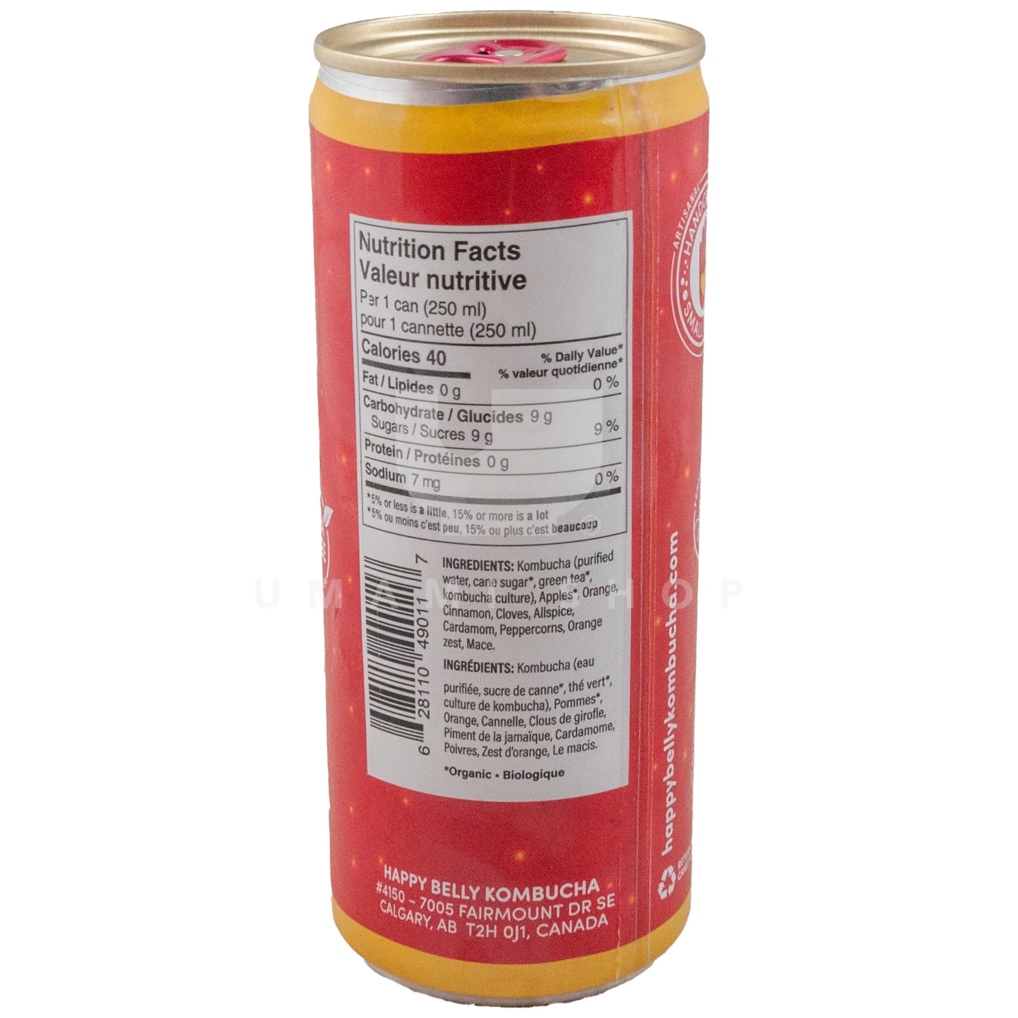 Apple Spice Kombucha - Image 2