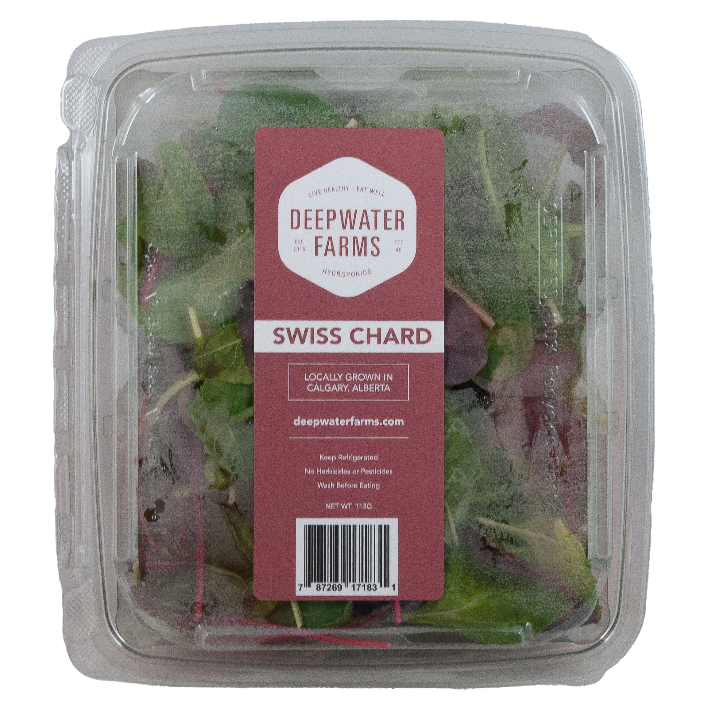 Baby Swiss Chard