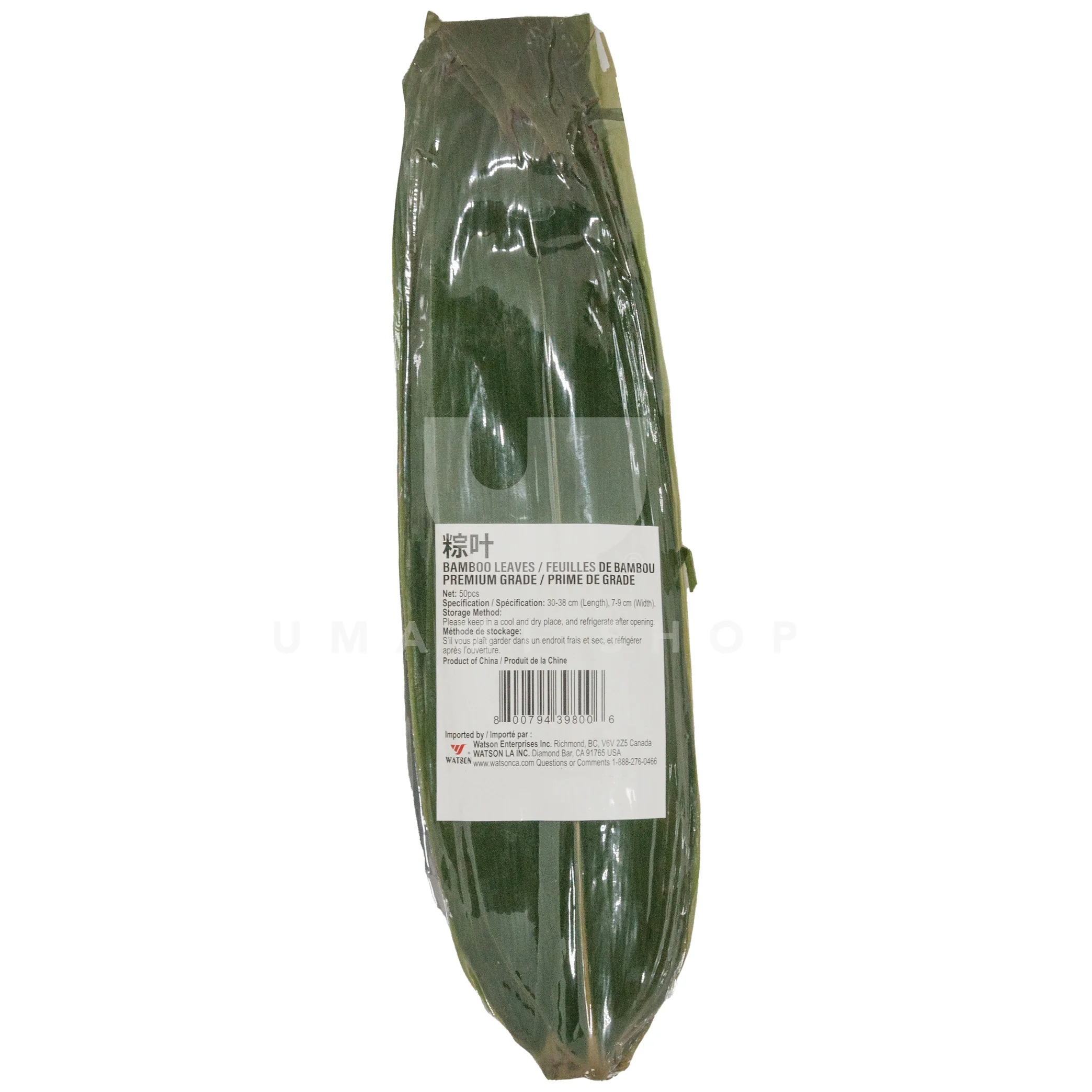 Bamboo Leave  Fresh in Vacuum