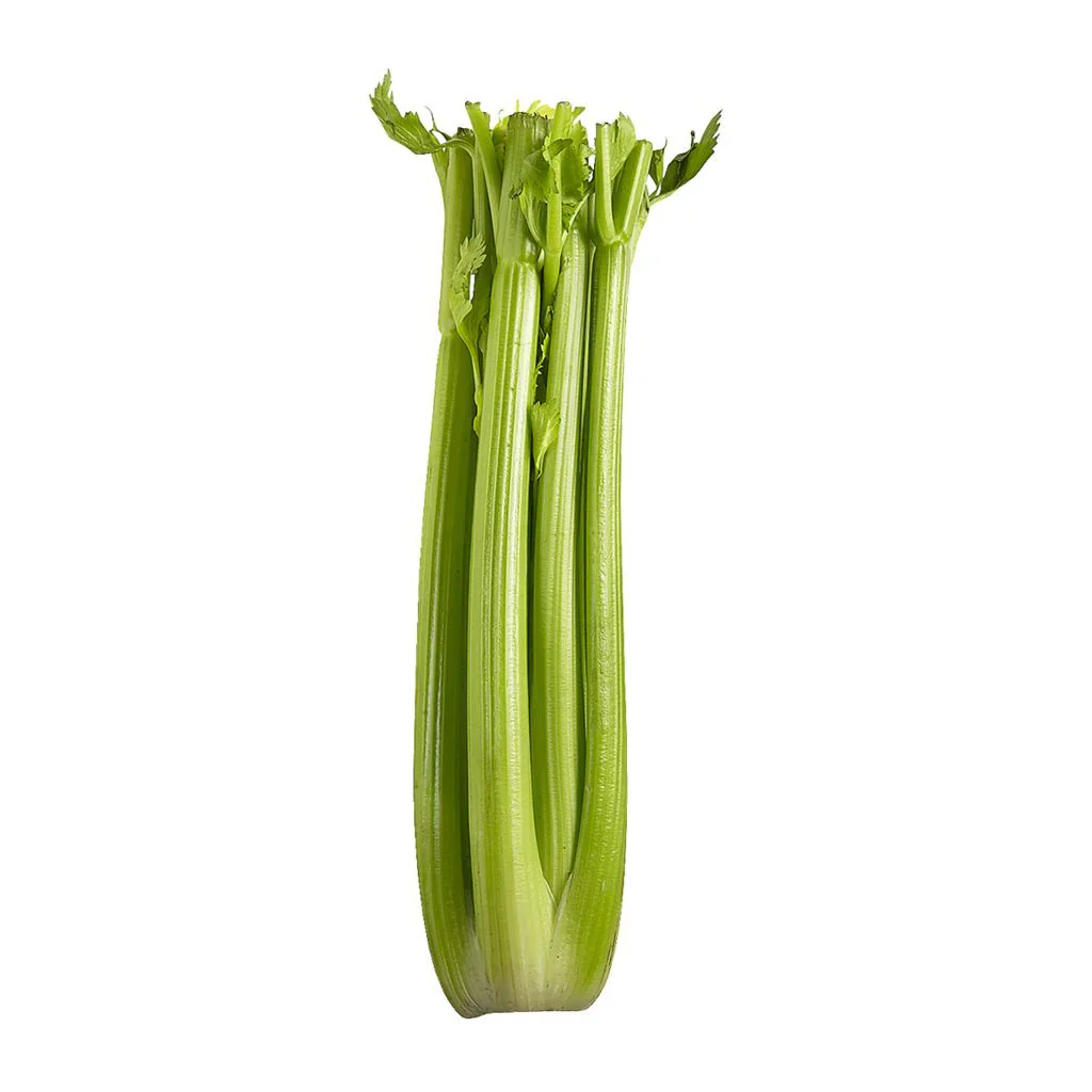 Celery Stalks 1Pcs
