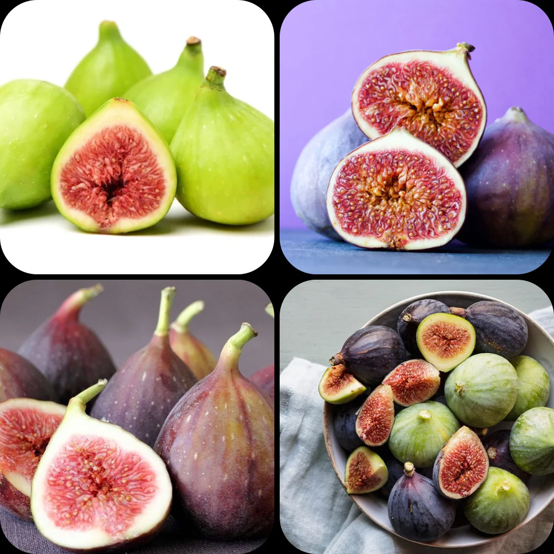 Fresh Figs CASE PREORDER ONLY - Image 2
