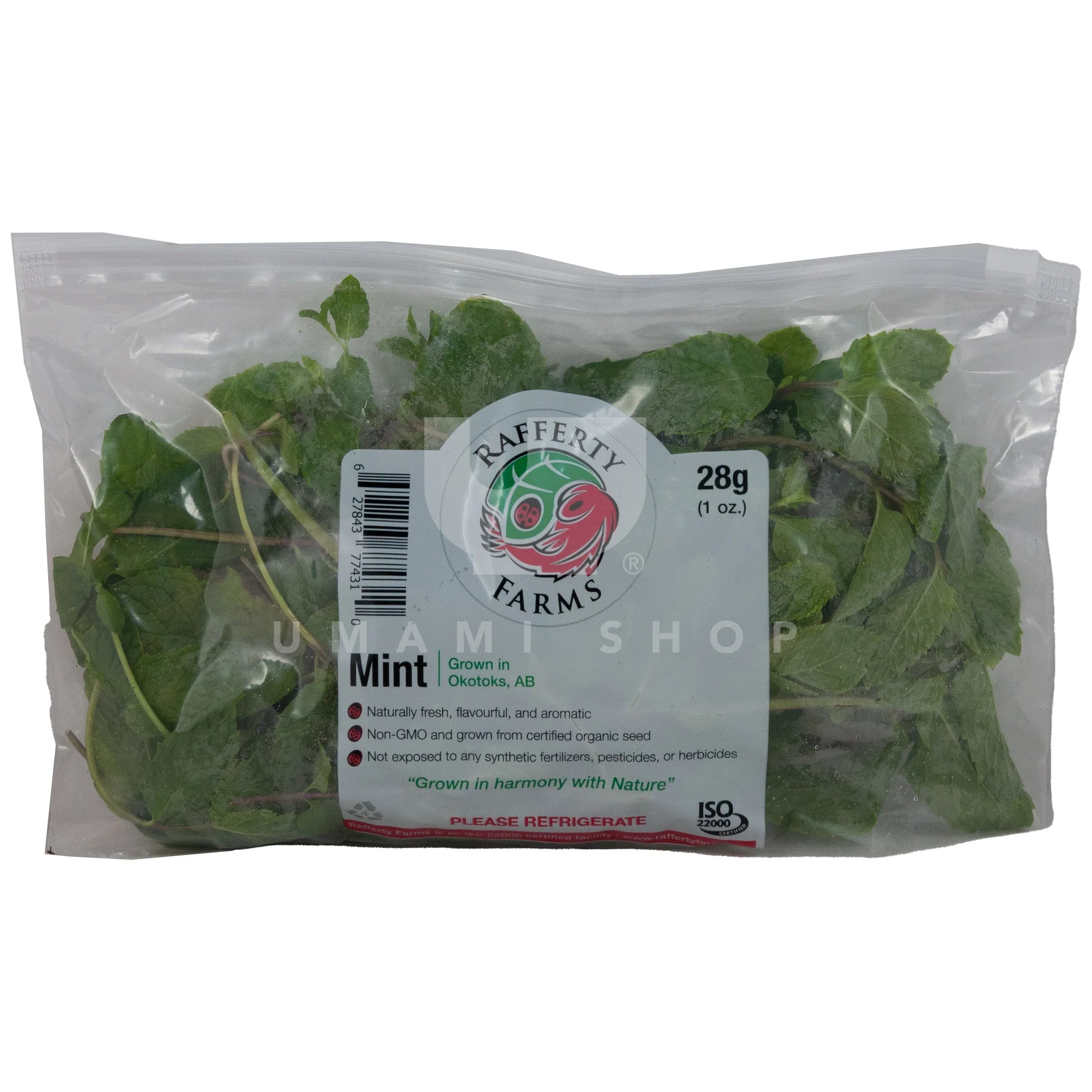 Fresh Mint (Alberta Local)