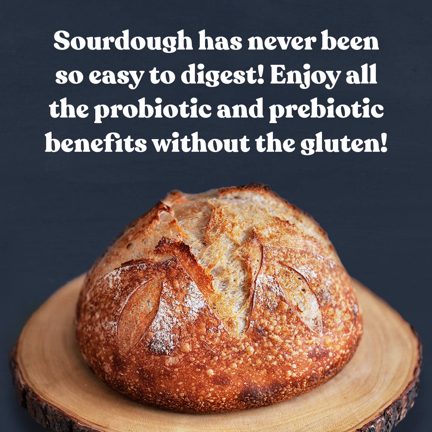 Gluten-Free Sourdough Starter - Image 6