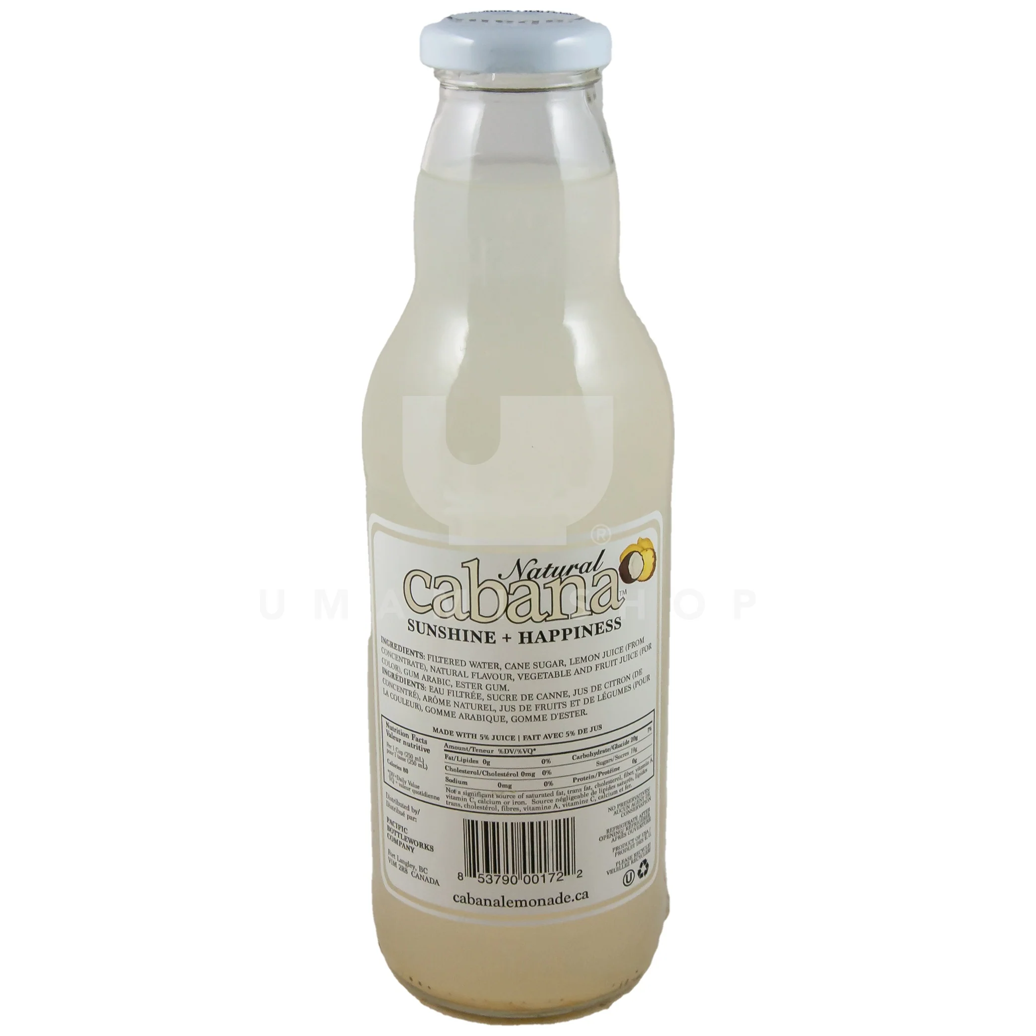Lemonade Coconut Pineapple - Image 2