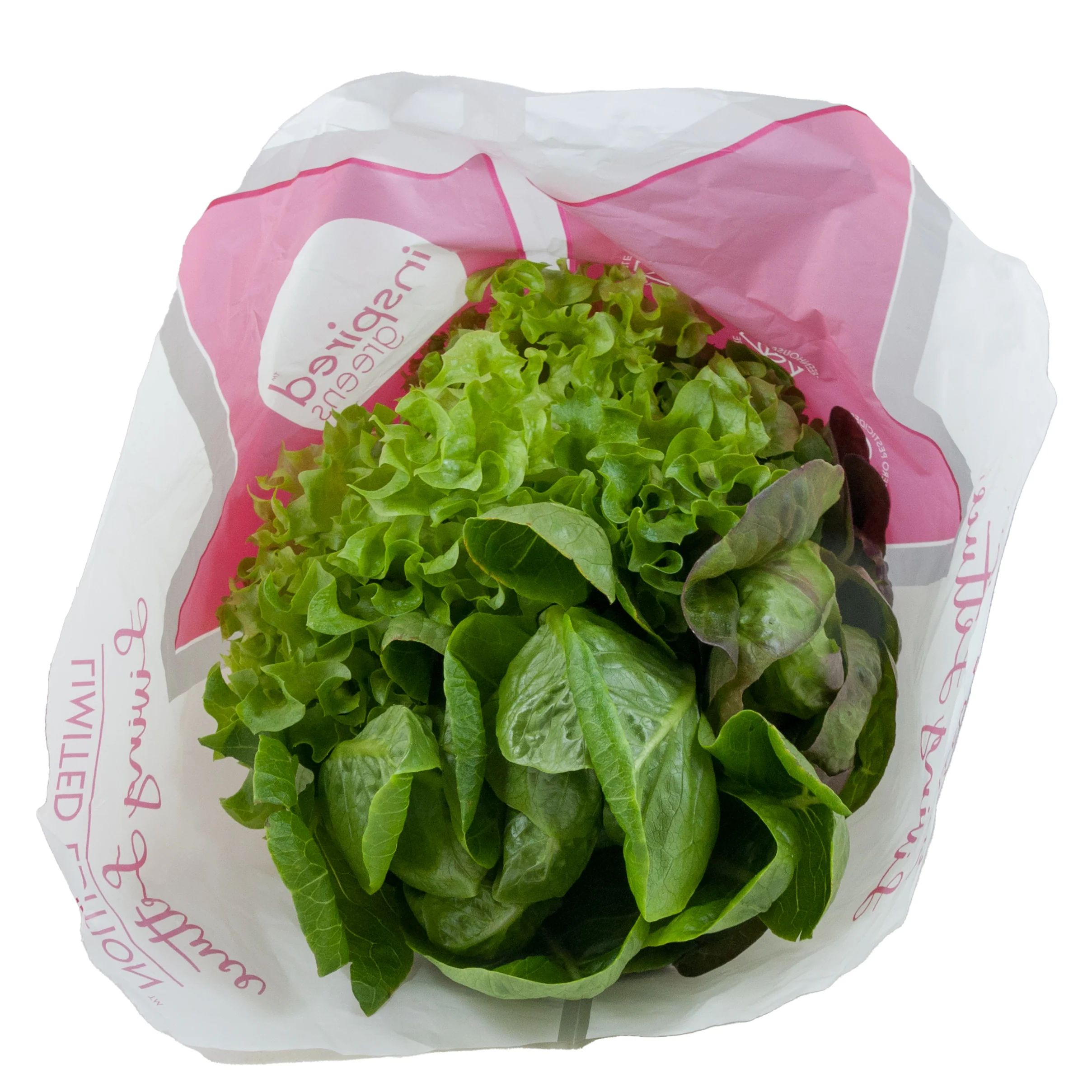 Lettuce Multi Leaf Trio (Local)
