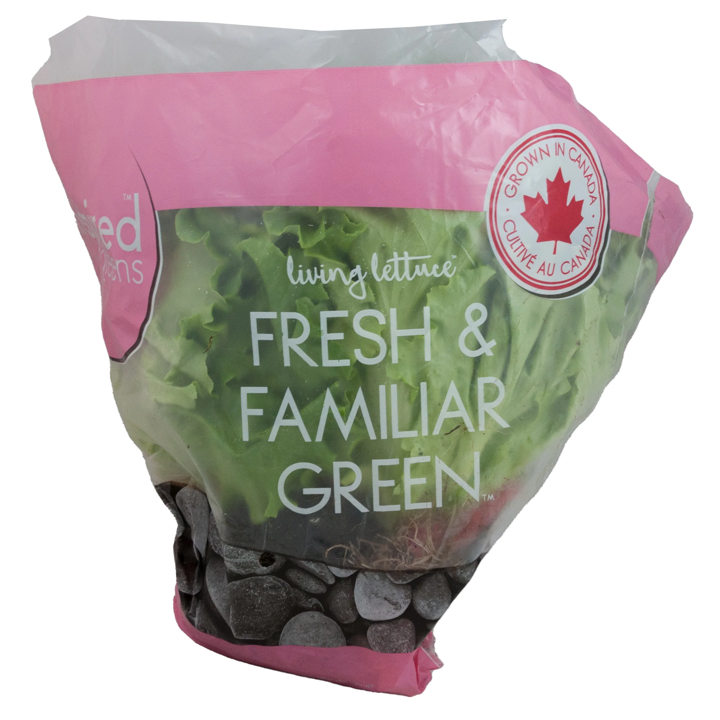 Lettuce Multi Leaf Trio (Local) - Image 2