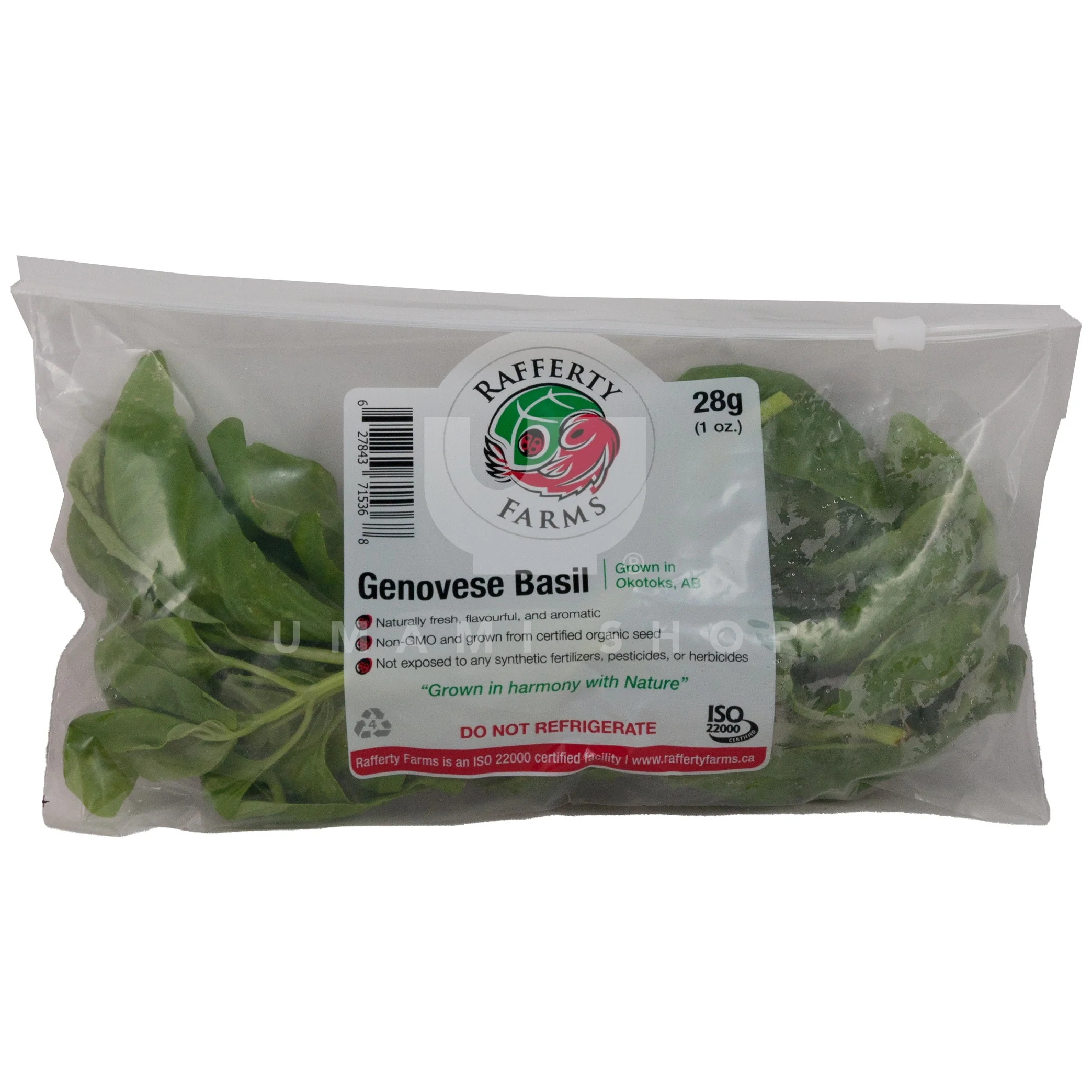 Basil Genovese (Alberta Local)
