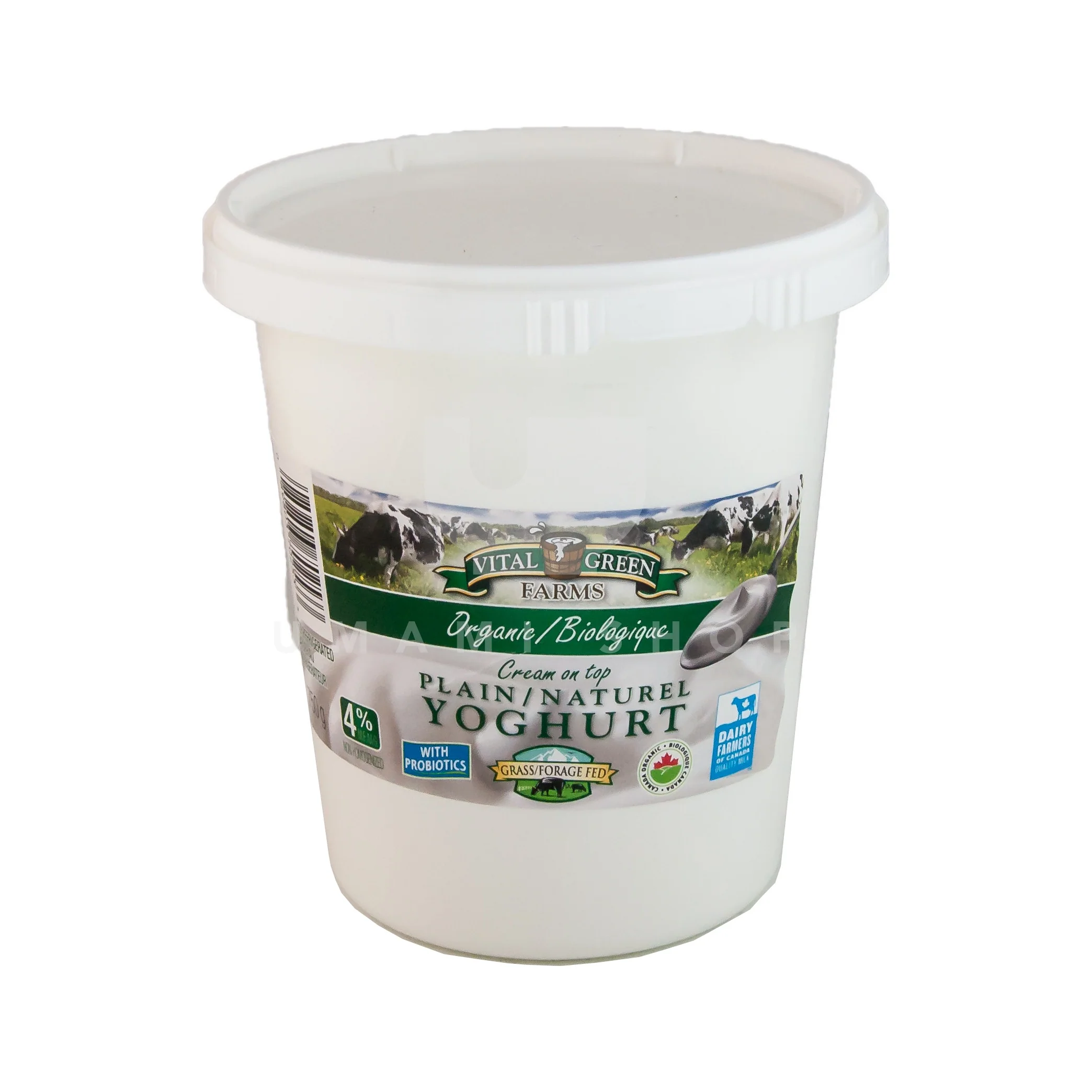 ORGANIC Plain Yoghurt 4%