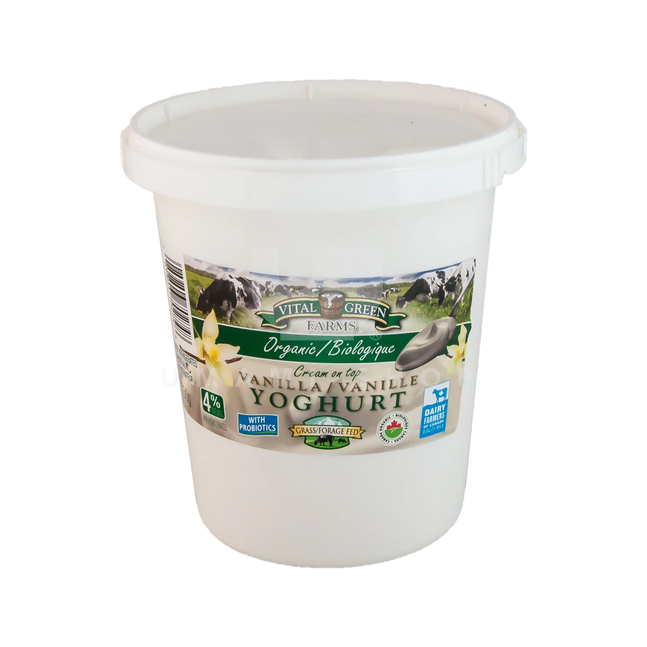 ORGANIC Vanilla Yoghurt 3.8%