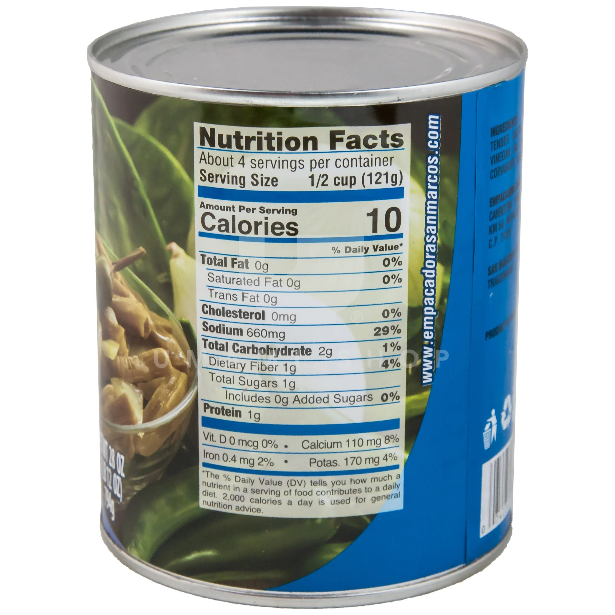Pickled Cactus - Image 2