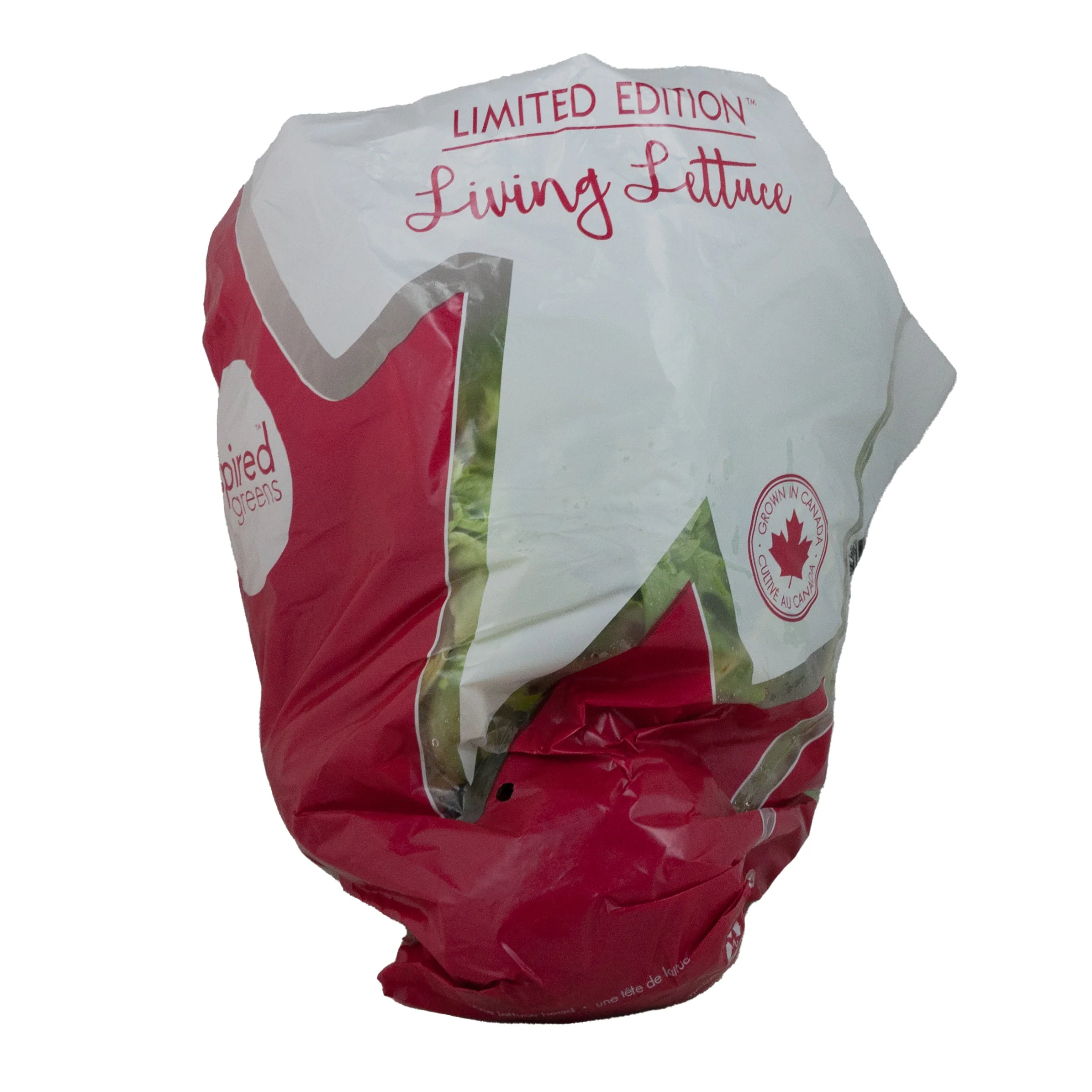 Romaine Trio Limited Edition - Image 2