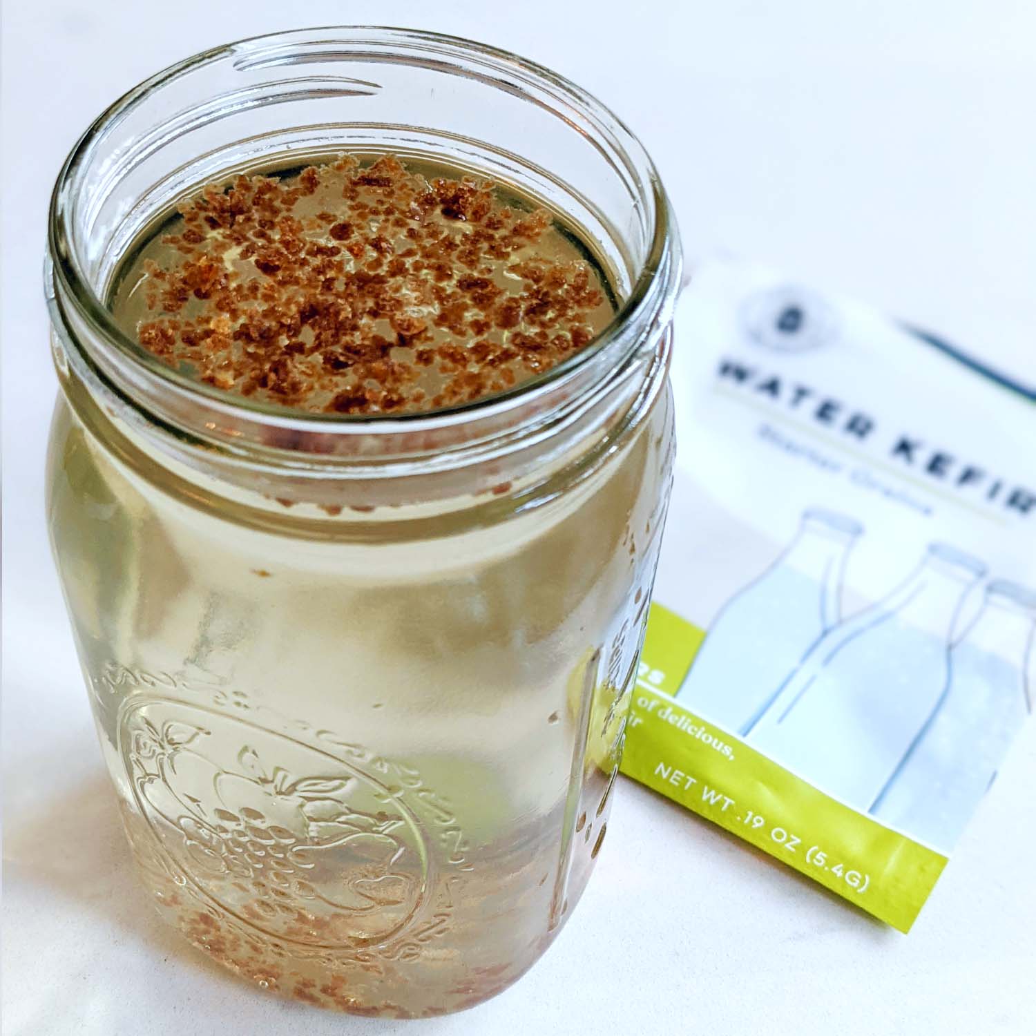 Water Kefir Grains - Image 7